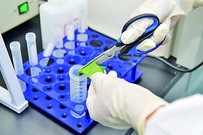 Поуздана идентификација бактерија једноставна је са Бабио-овим грамом за мрље